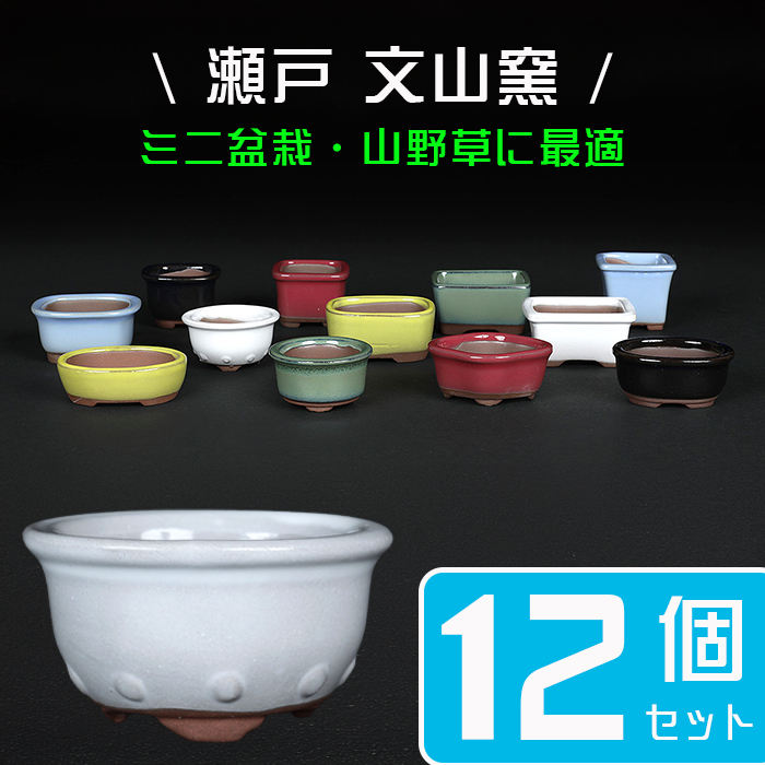 お得なセット鉢 | 盆栽、盆栽書籍、盆栽鉢の通販│近代出版