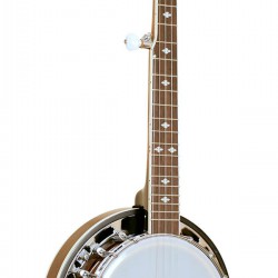 Beginner Banjo