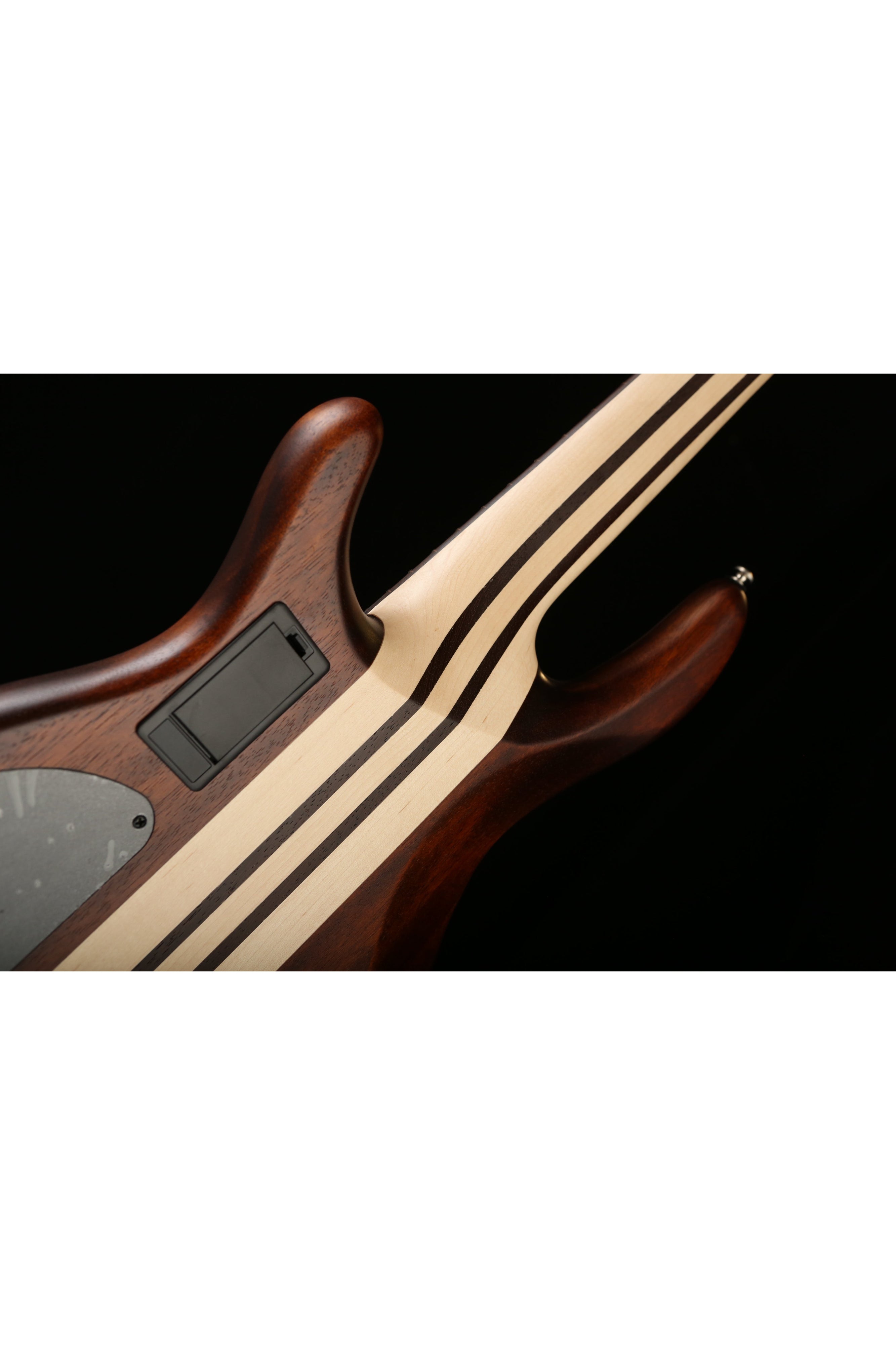 Cort A5 Plus 5 string Bass Guitar