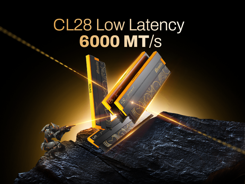 Biwin OC Lab Gold Edition DW100 192 GB RAM Kit (48 GB x 4)