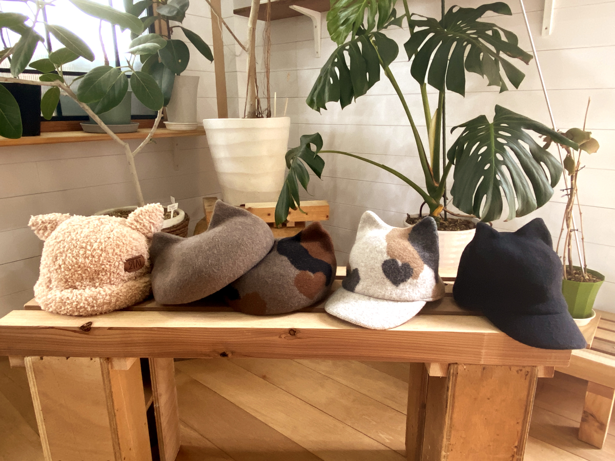 Dodge(ダッチ)の猫耳帽子の予約を開始！ - VDS BIRDS EYE