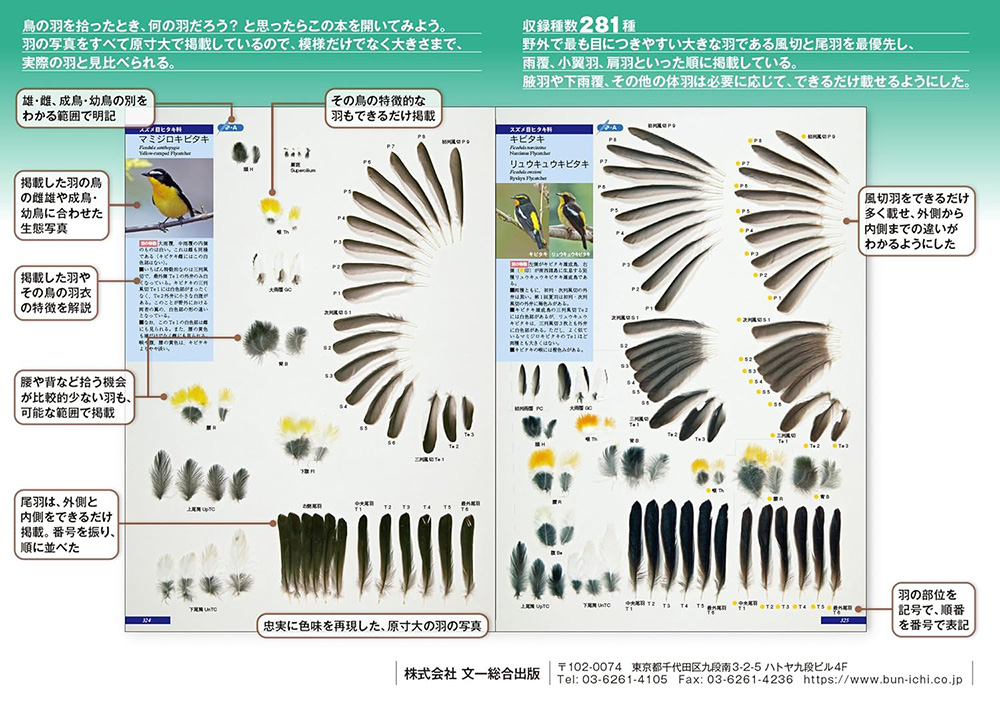 原寸大写真図鑑 羽 増補改訂第2版