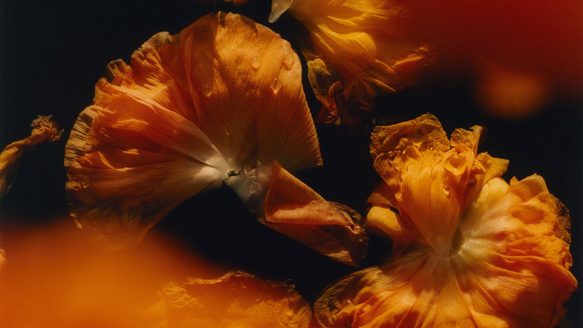 サフラン キャンドル 240g｜ 豊かなスパイスの香り