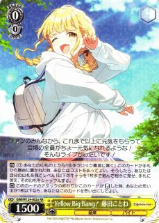 70726f647563742f777367696d7731