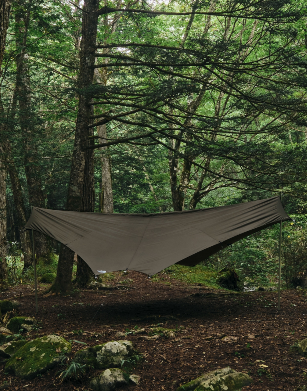 Nebula Tarp 6 | Online Camp Store | THE NORTH FACE CAMP