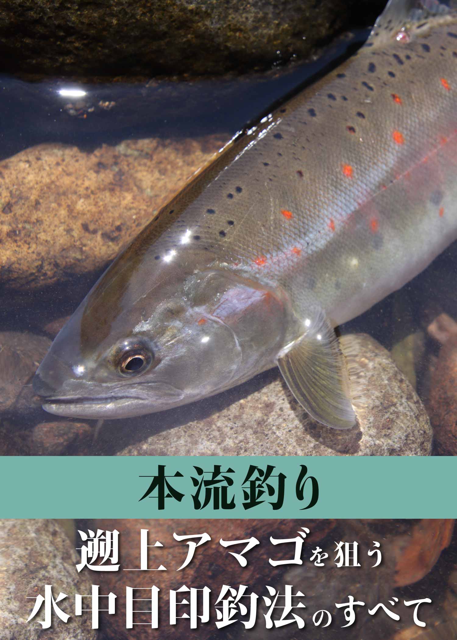 本流釣り】遡上アマゴを狙う水中目印釣法のすべて