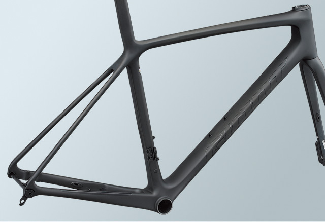 2021 GIANT Bicycles | TCR ADVANCED SL DISC FRAME SET (New 2022)