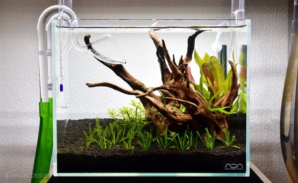 リリィ型パイプを通販で買ってみたのでレビュー | GRASS DESIGN