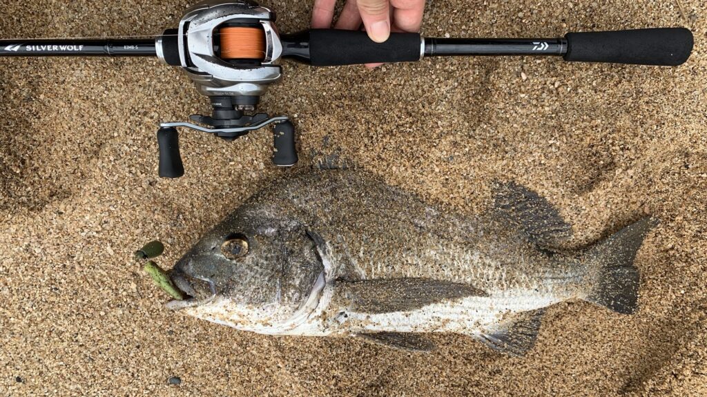 シルバーウルフ 83MB-S】フリーリグ特化の長めのチニングロッド！俺が