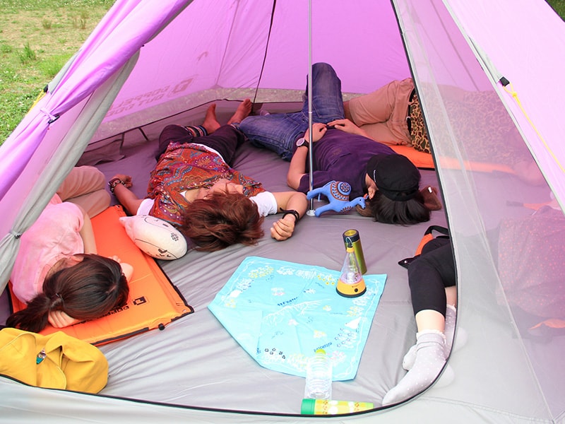 販売終了】ワンポールテント（パープル・5人用） - DOD（ディーオー