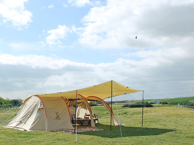 販売終了】チーズタープ（タン） TT10-492-TN - DOD（ディーオーディー