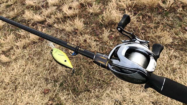 ダイワ 2021 スティーズ リミテッド SV TW | 実釣インプレ - 俺のバス