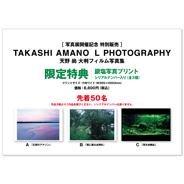 天野 尚 没後10年追悼企画］天野 尚 大判フィルム写真展