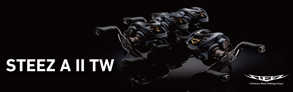 スティーズ A II TW(リール)｜DAIWA