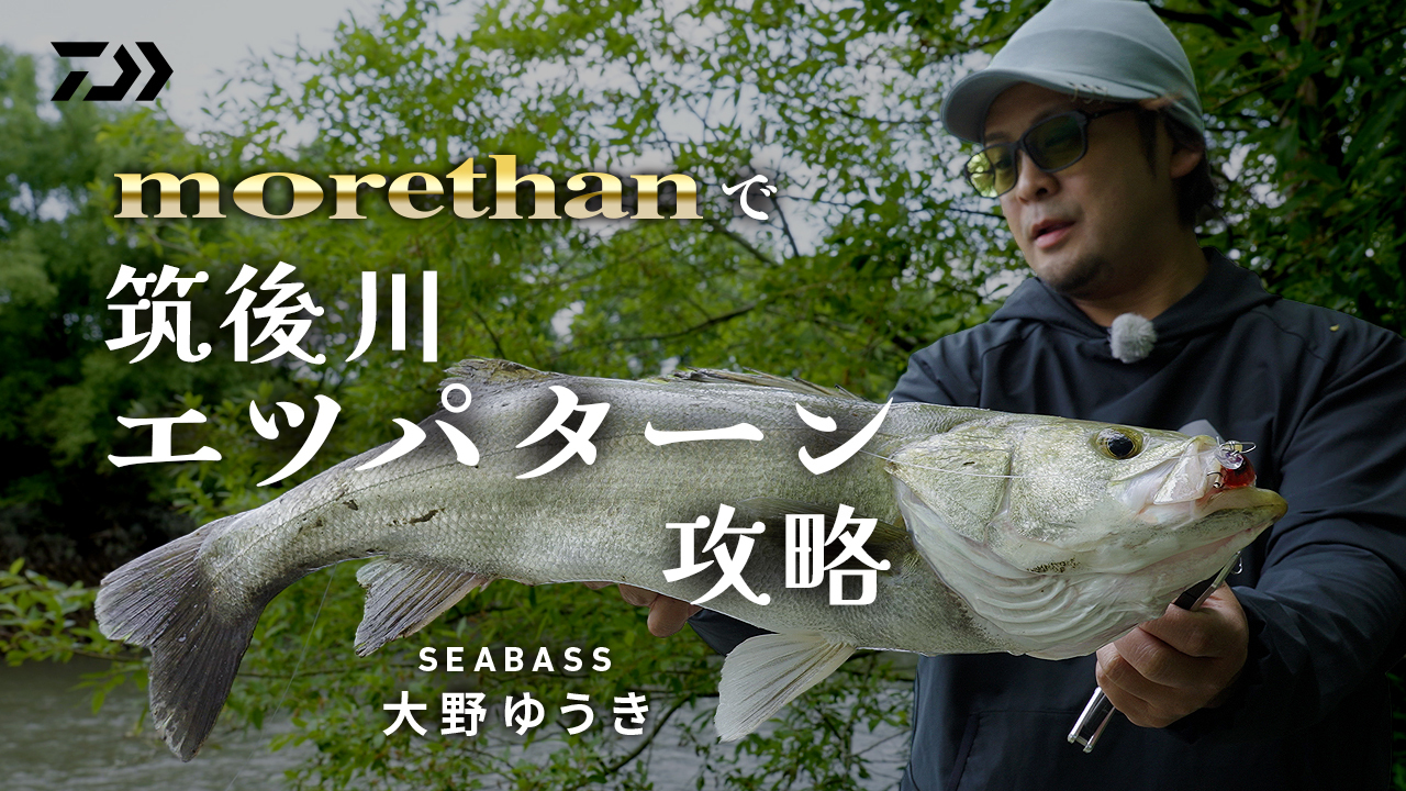 morethan（モアザン）｜DAIWA