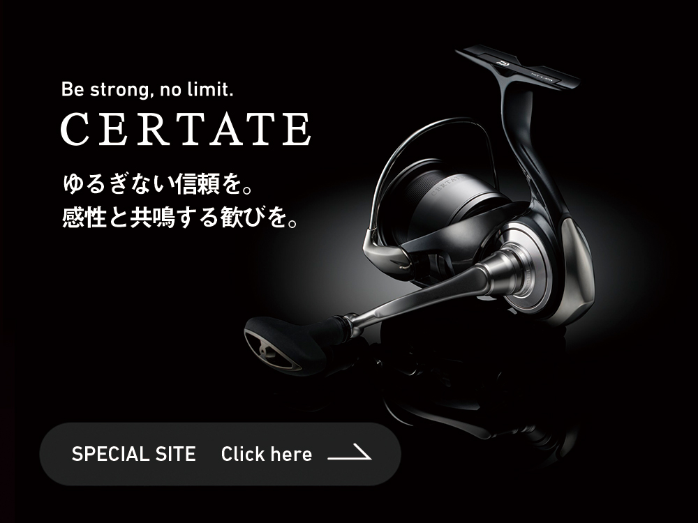セルテート(リール)｜DAIWA