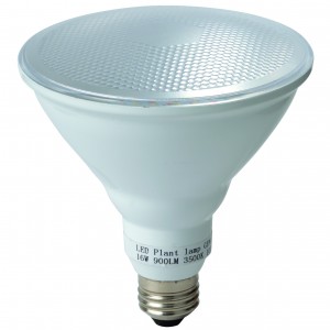 LEDエジソンランプ LDST7WSTC-T2 | LED電球 | 東京メタル工業株式会社