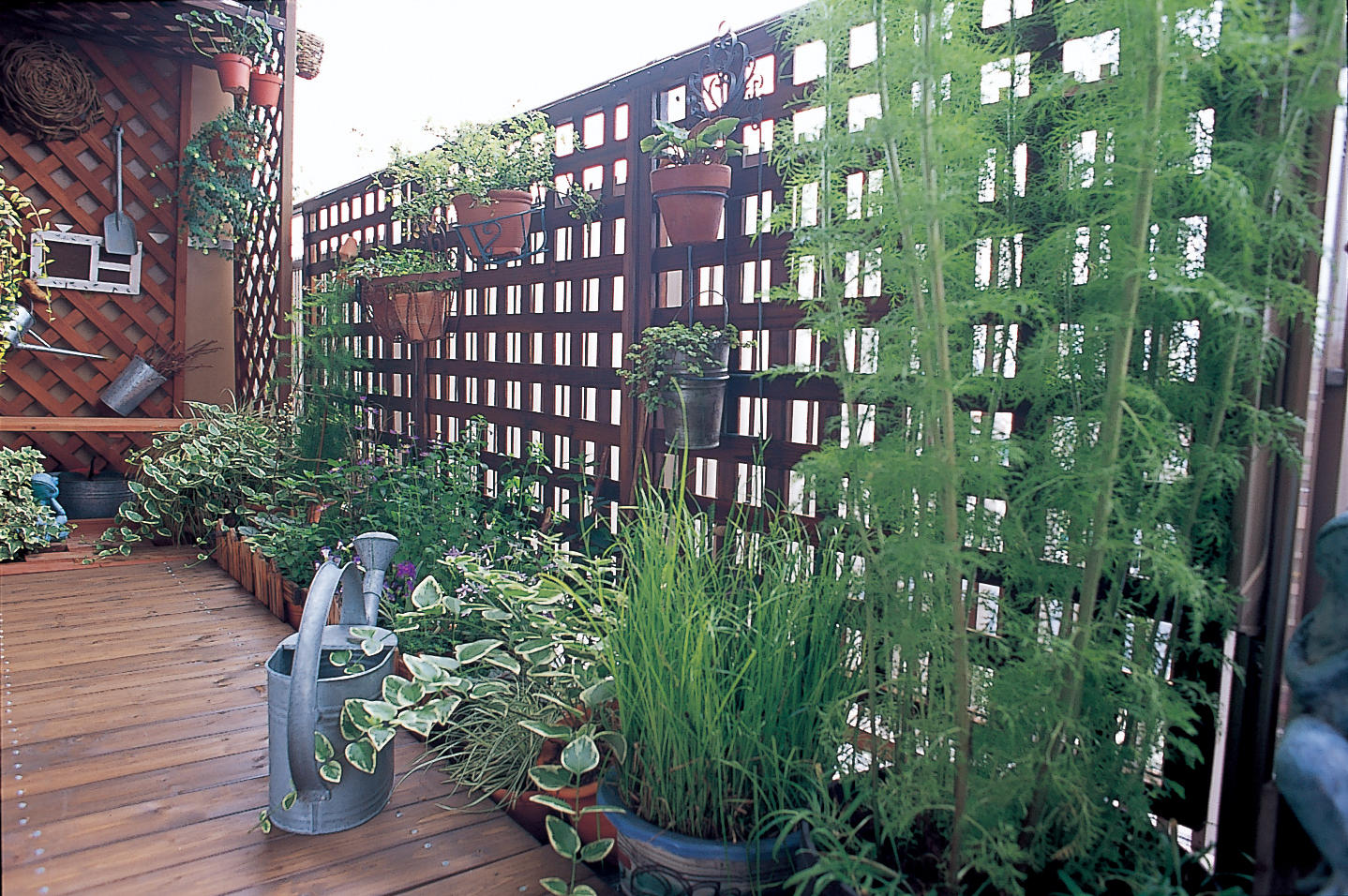 商品紹介 SKY PLANTER / スカイ プランター « PLOT Gallery & Shop