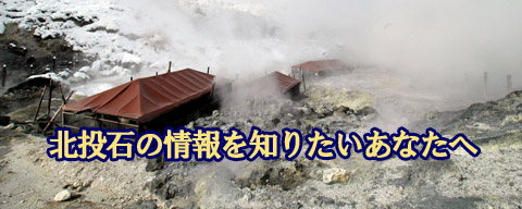 北投石ってどういう石？玉川温泉の北投石についてご紹介します。