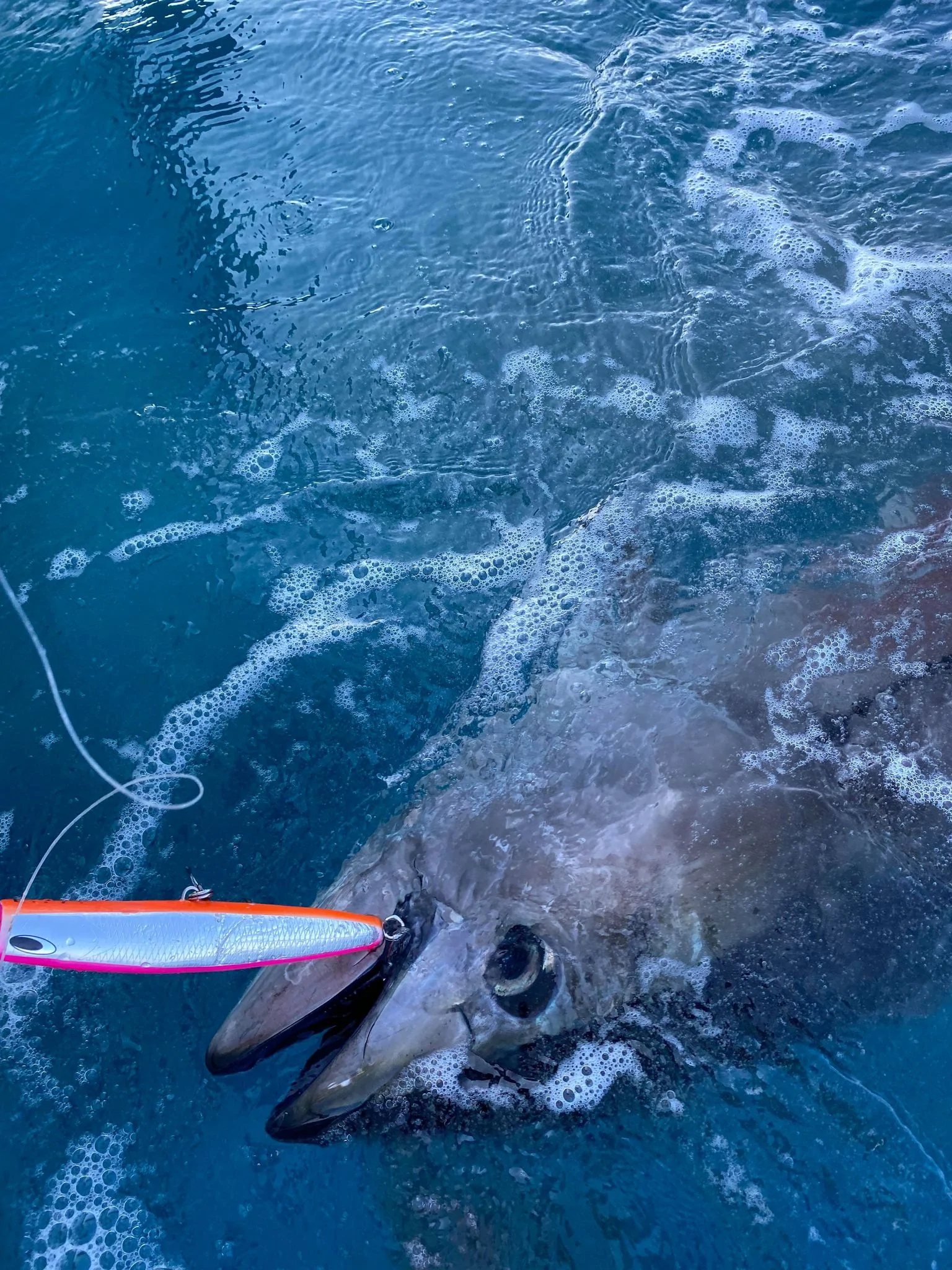 PELICAN180F/ペリカン180F ‣ ネイチャーボーイズ