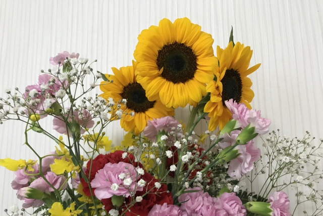 園芸の豆知識：ひまわり（向日葵） | 新和造園株式会社