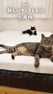 エマ・スリープ（エママットレス）公式