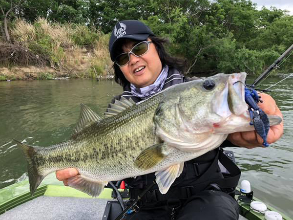 EVERGREEN（エバーグリーン インターナショナル） - OCSC-69H