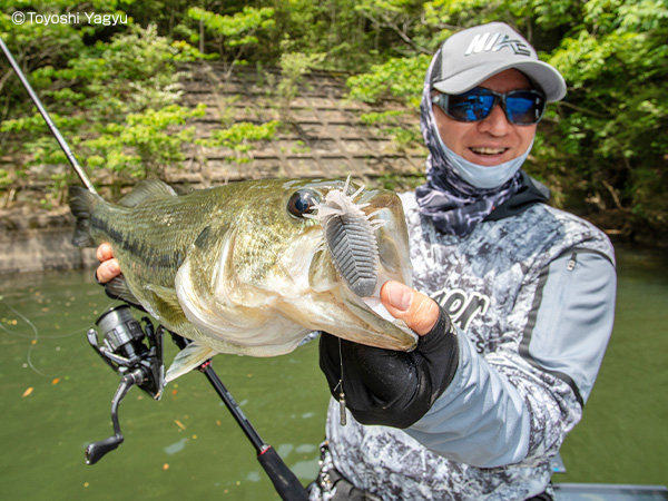 EVERGREEN（エバーグリーン インターナショナル） - TKSS-67XM