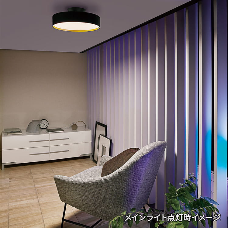 AW-0556E(BK/LW) アートワークスタジオ製シーリングライト