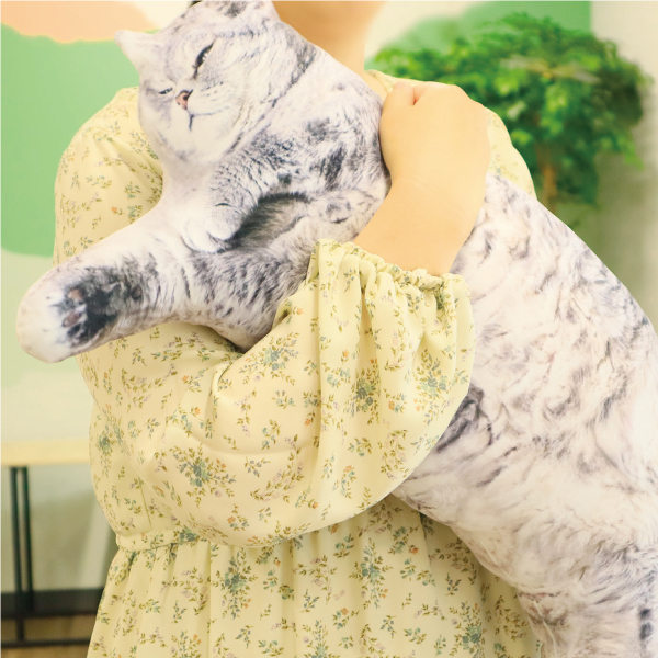 前回フクヤから登場し、SNSでも話題になった『リアルでぶ猫クッション