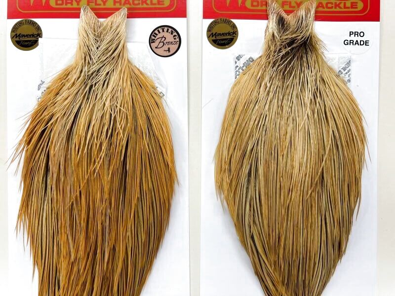 ホワイティングコックケープ ゴールデンバジャー