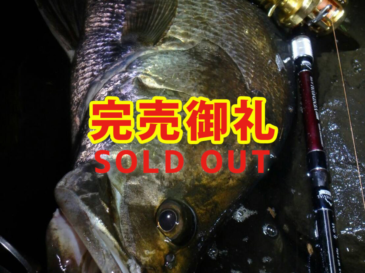 BRIST VENDAVAL 8.9M（ブリストベンダバール）のメーカー在庫が完売