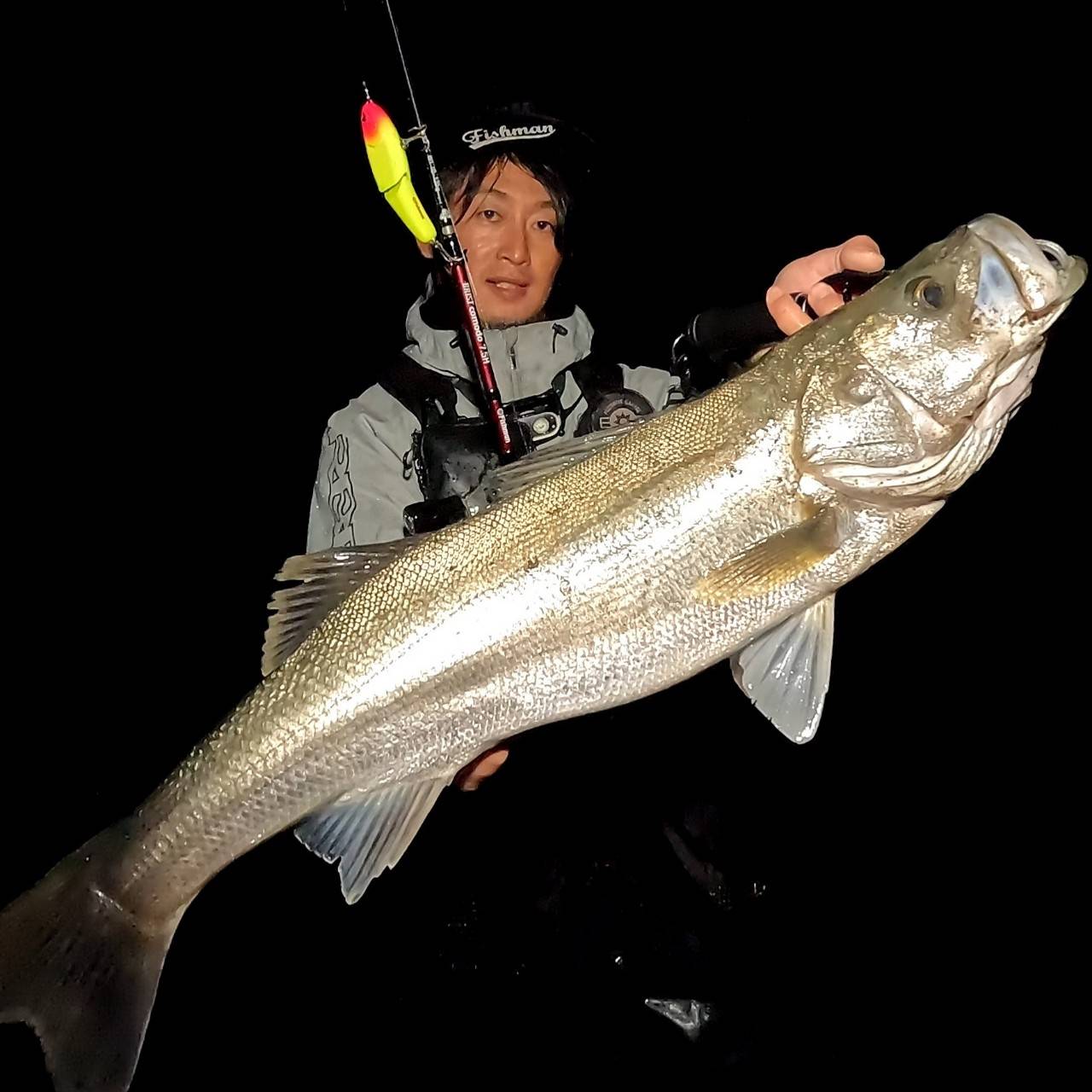 BRIST comodo7.5H アーカイブ - Fishman（フィッシュマン）