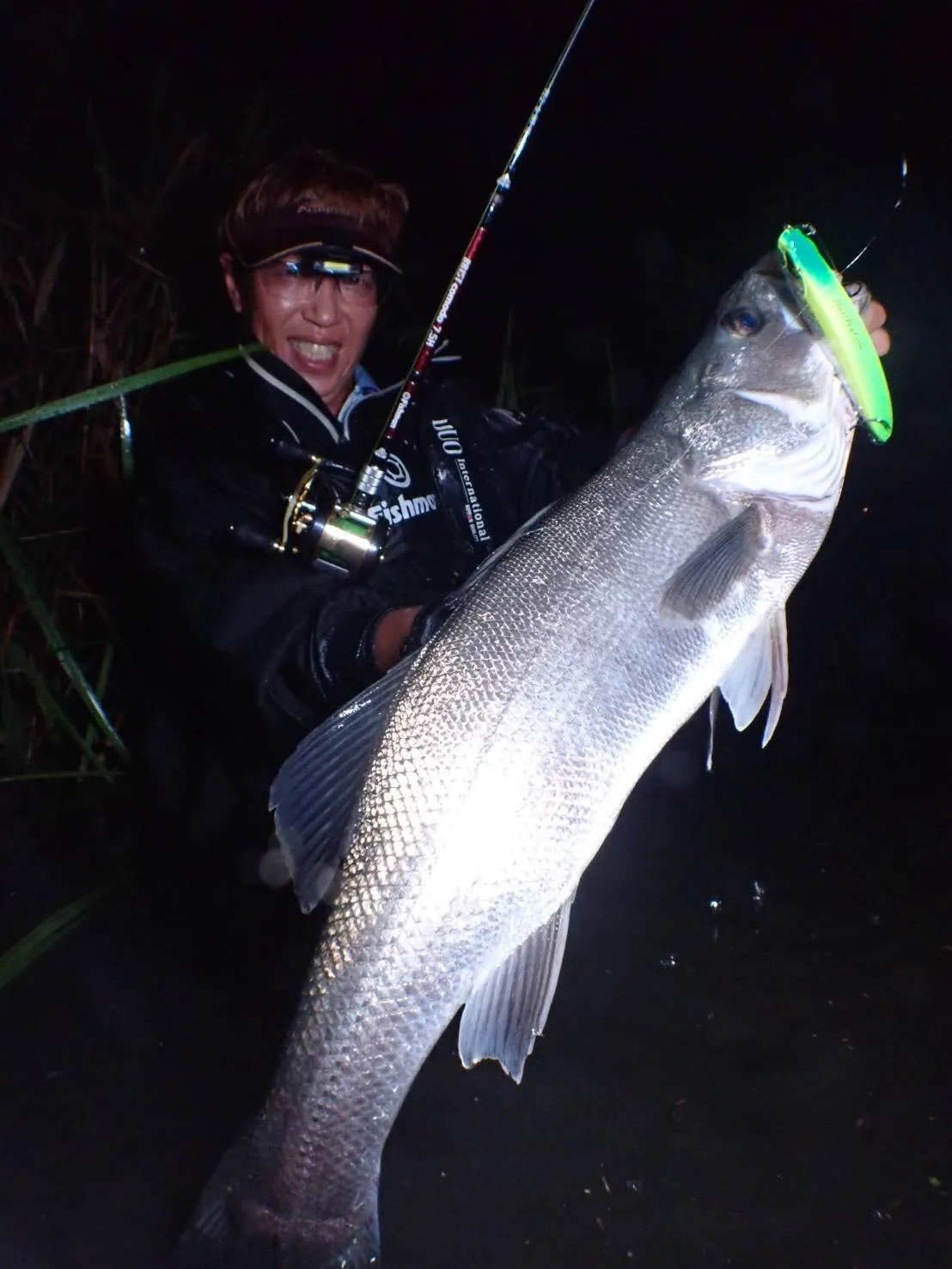 BRIST comodo7.5H アーカイブ - Fishman（フィッシュマン）