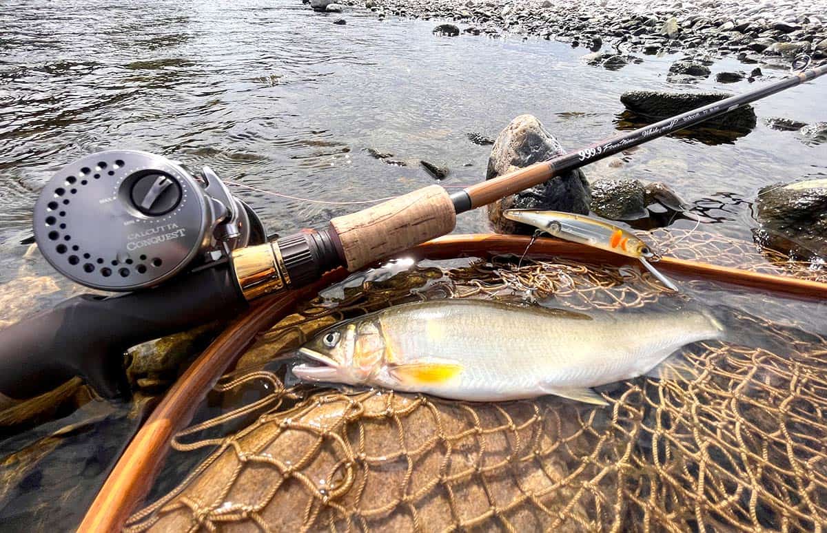 多摩川や相模川で大ブーム‼アユのルアーフィッシングに挑戦！！ | 釣り