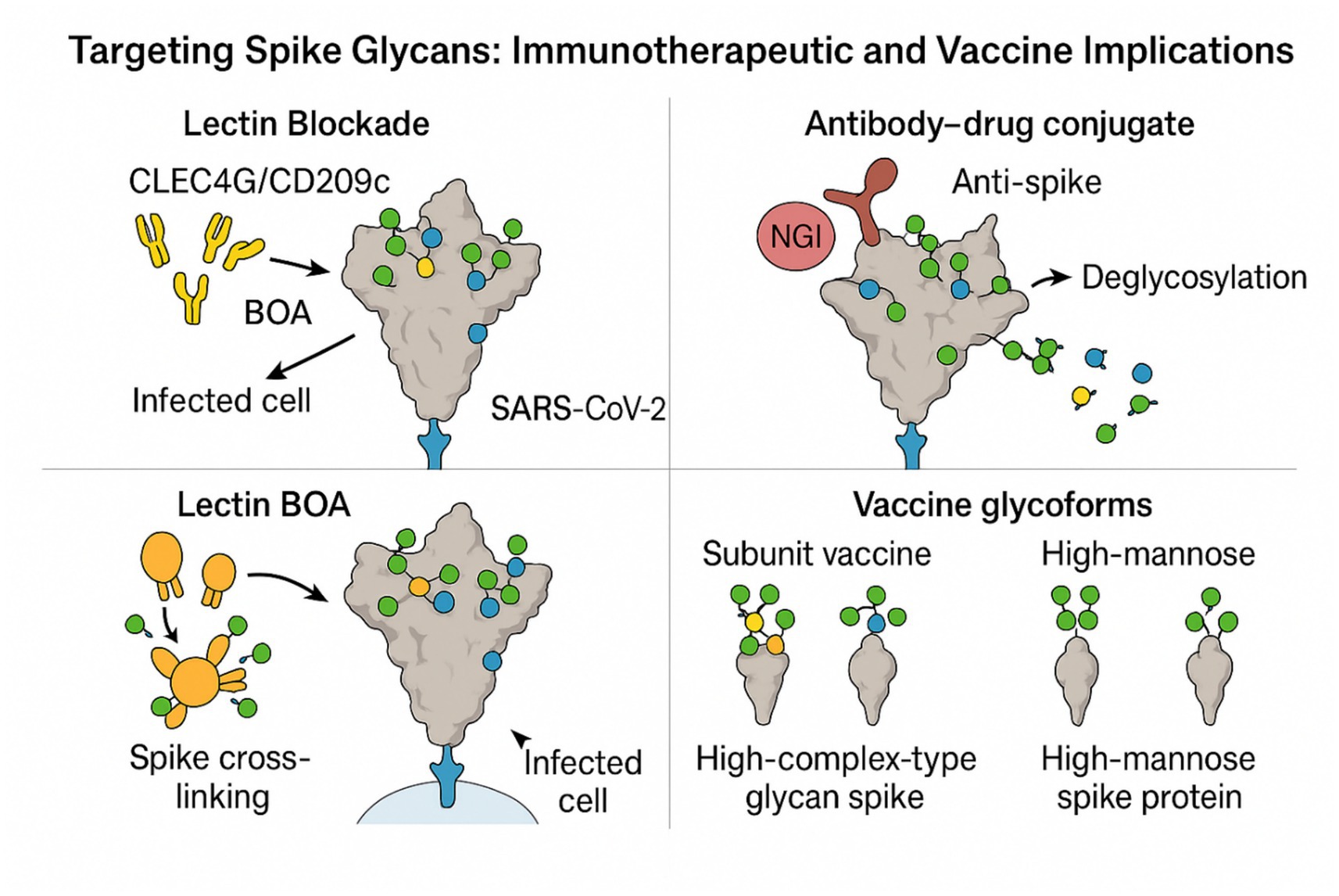 Frontiers | Rewriting the viral script: post-translational