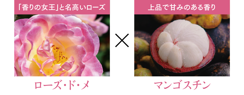 FTCプロフェッショナル スタイリング ヘアミスト/80ml | FTCオンライン