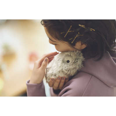 カシオ CASIO 手のりサイズ AIペット(コミュニケーションロボット