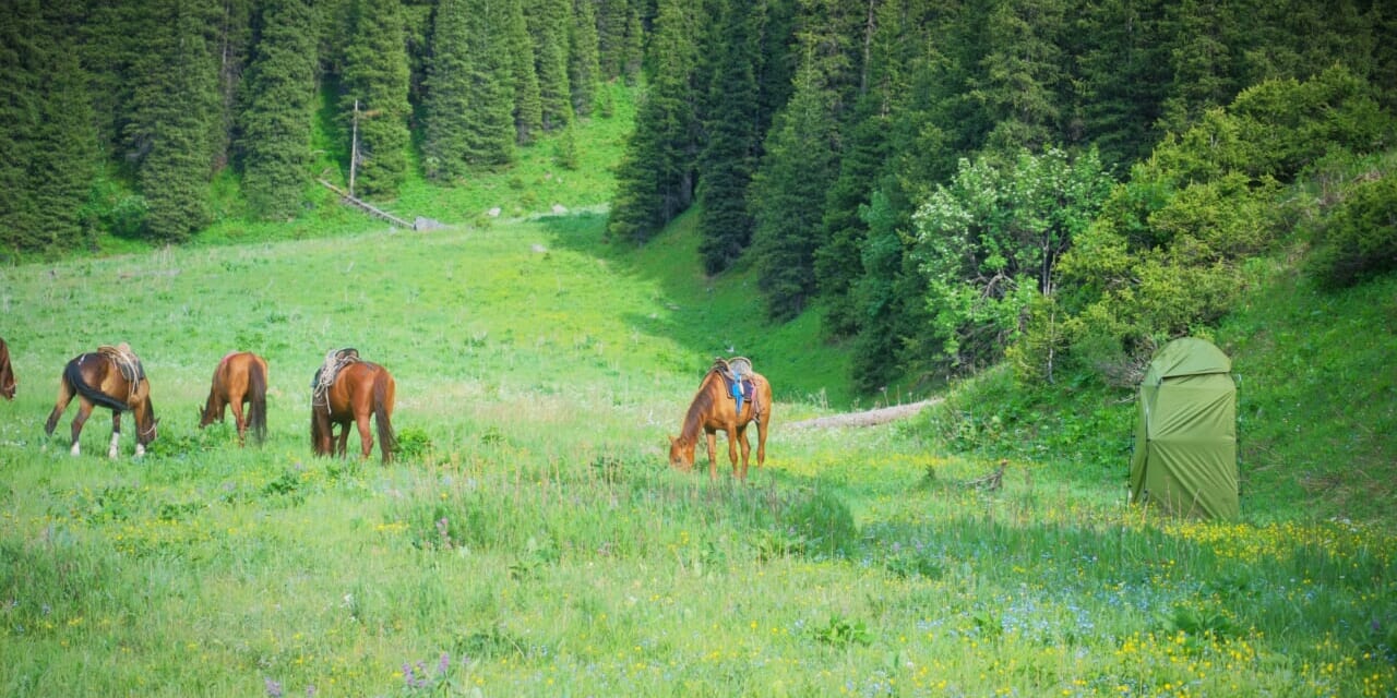 6/21（日）発 【風の女子旅】キルギスの蒼と緑の湖水をめぐる7日間