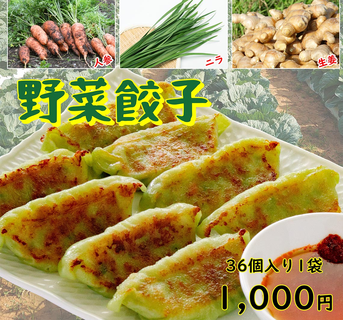冷凍〕大阪ふくちぁん 野菜餃子 36個入 ※関東カクヤス店舗からのお届け