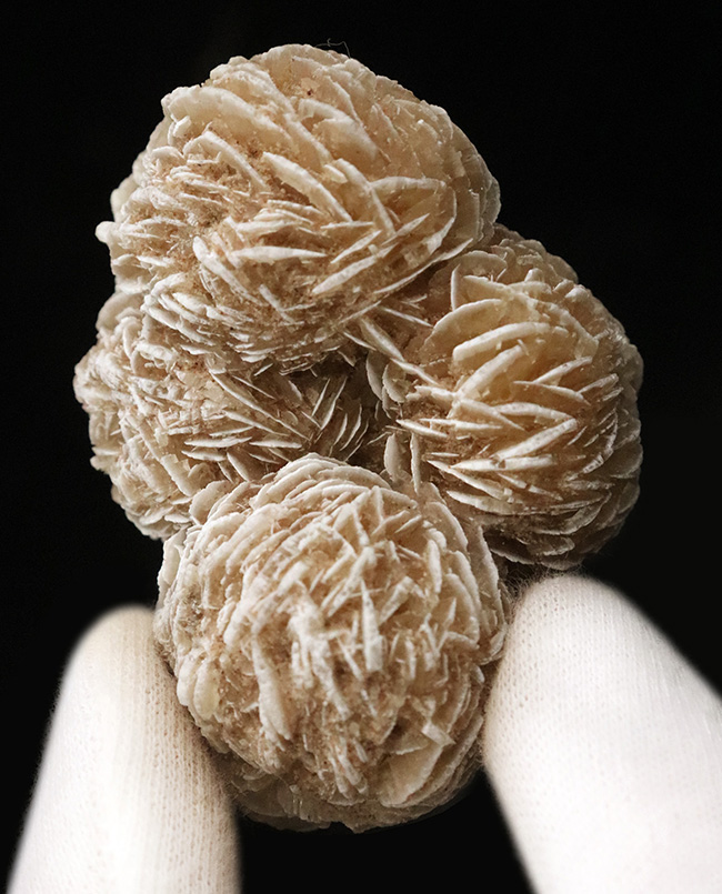 砂を抱き成長したロゼット結晶標本……流通量の少ない米国ニューメキシコ