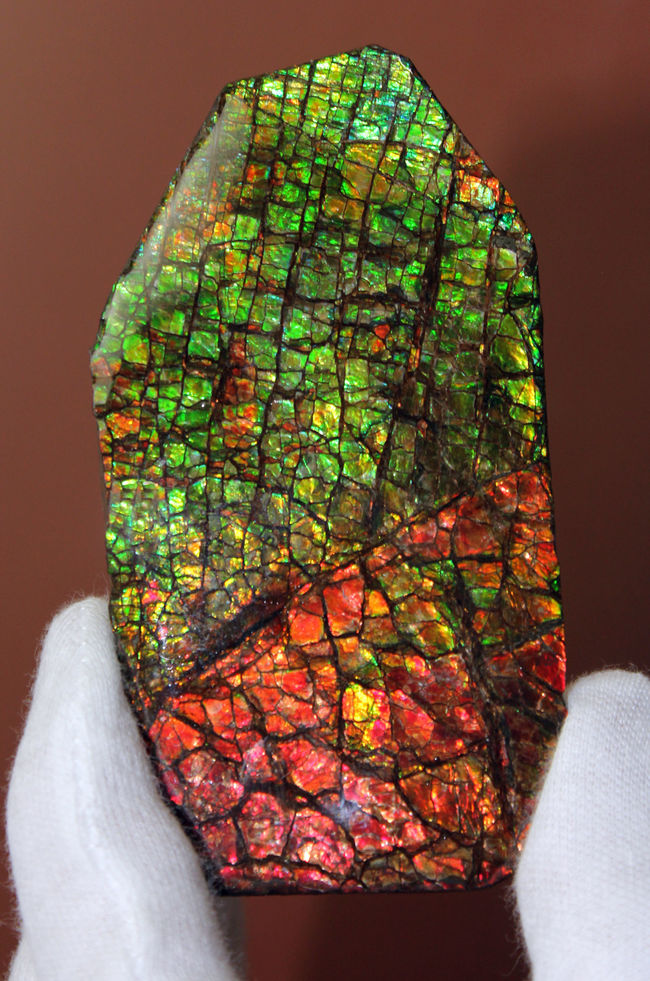 これがドラゴンスキンだ！これぞ宝石アンモライトというべき最高の