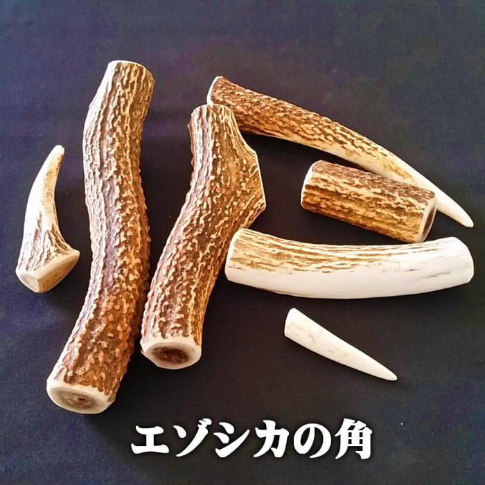 セール対象]【鹿角】おまかせ 枝角 14cm〜16cm 用途自由 ペット