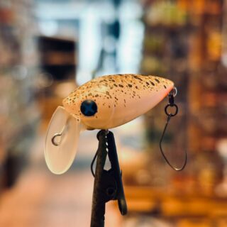 吉やオリカラ情報！シマノの「そことろ」で登場しますよ。画像2枚目が