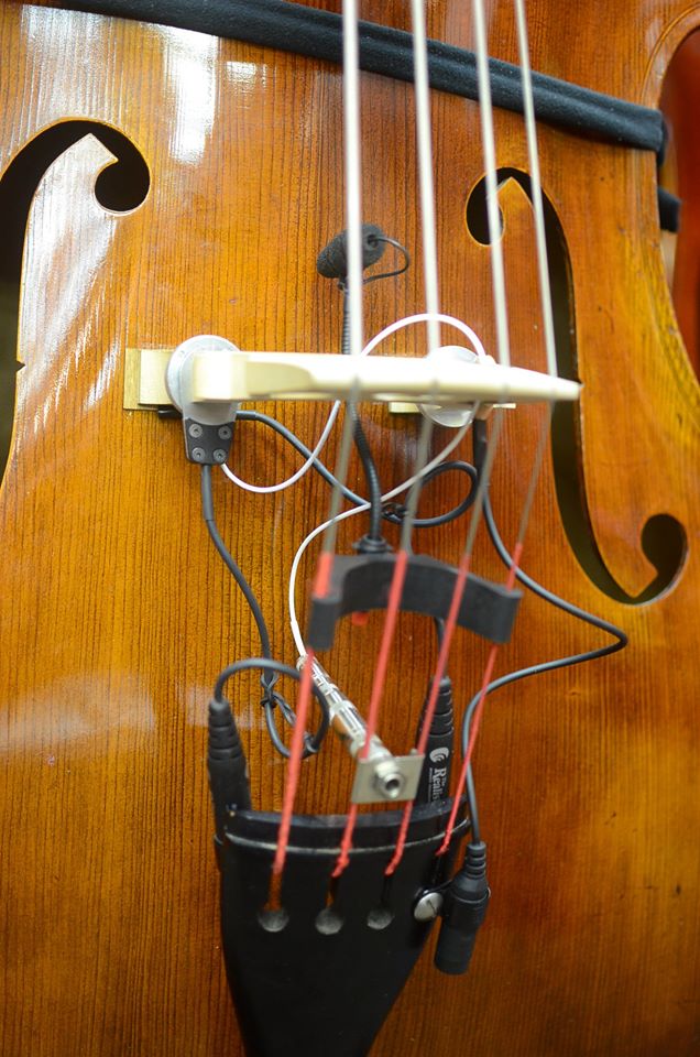 コントラバスピックアップ選び お助けします!!【コントラバス本店