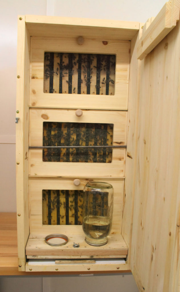 A-Ž hives in a Slovenian-style apiary: awesome yet practical