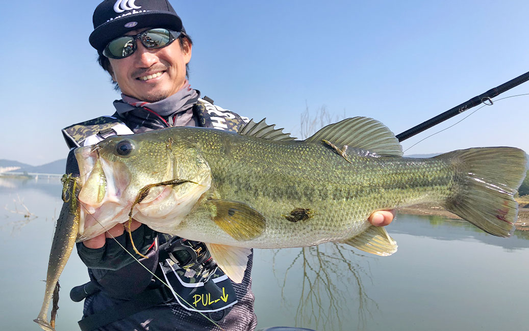 このワームにはこのフックワーム装着完全ガイド【シャッドテール