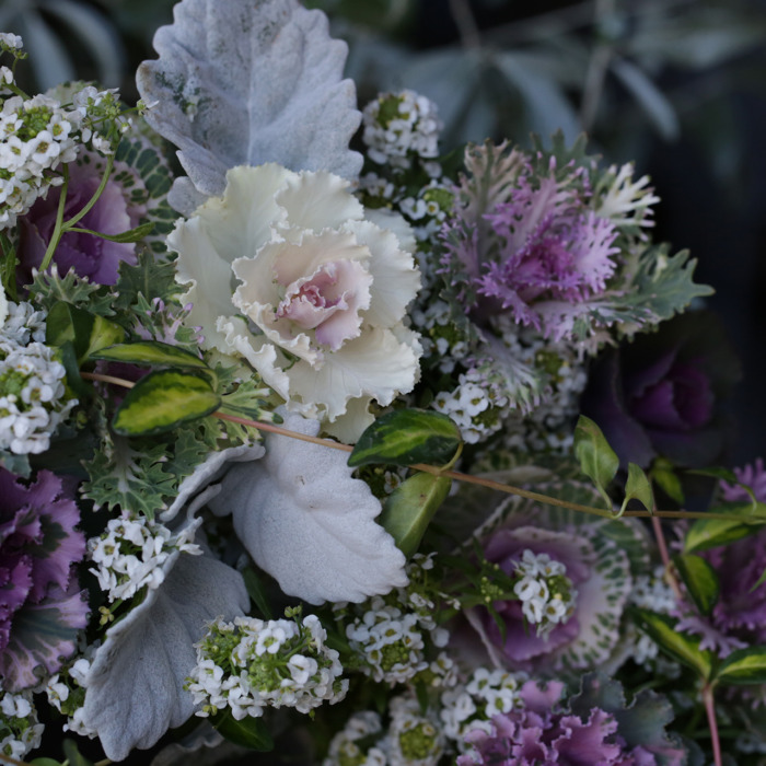 1点もの】シックなハボタンリース（東京発送） | アトリエ華もみじ