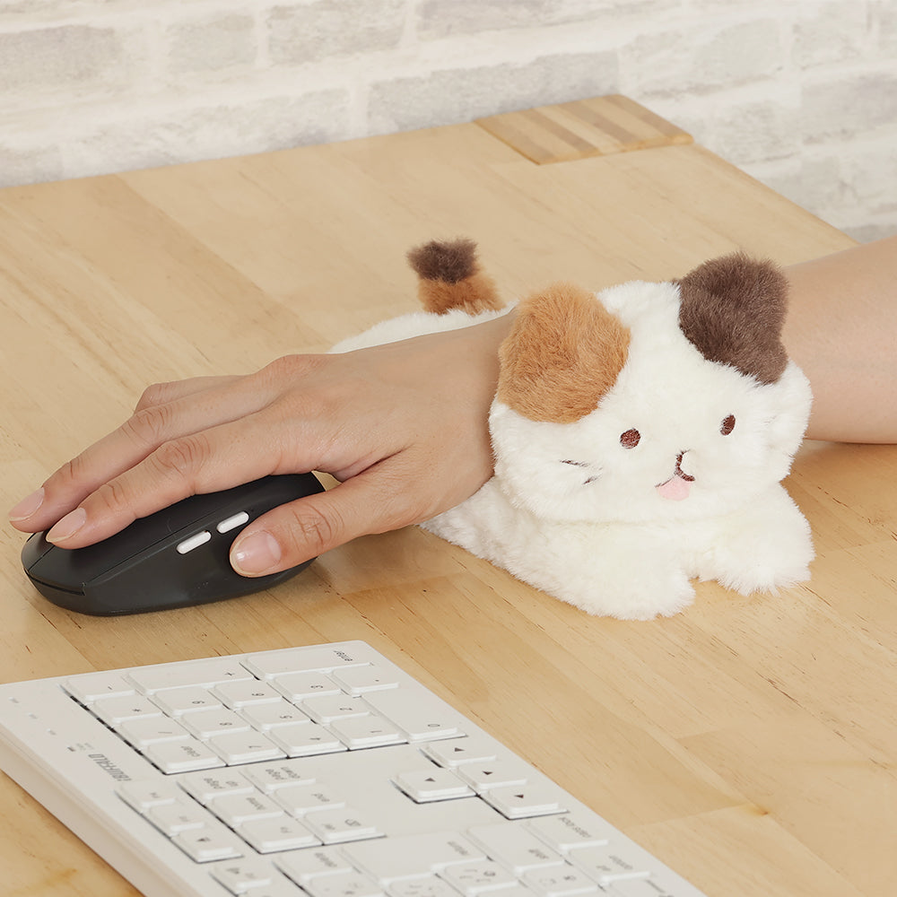 ふくふくにゃんこミケランジェロ堪能セット – HAPiNS online shop