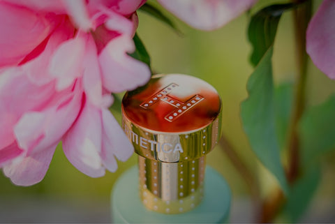 scent_9df90da0-5c79-40d3-93ce-